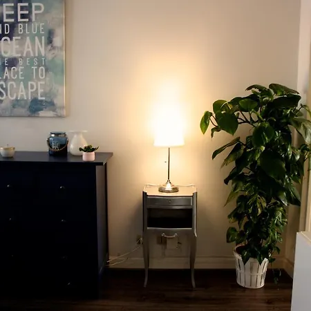 Cosy Dans Apartment